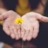 Flower in palm of hand