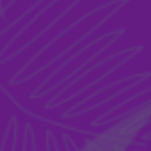 OurPledge chats to Ajay Pabial from Art Clubbers about 2022’s Forest Fest